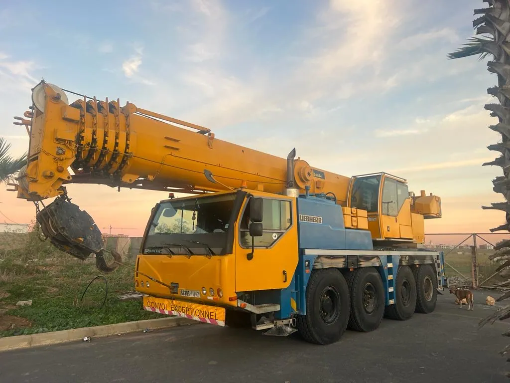 Location de grue mobile de 30 à 400 tonnes